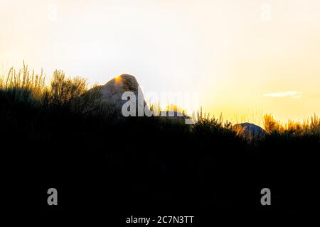 Silhouette di piante sulla cima di rocce e sole dietro la pietra al tramonto giallo arancio luce del sole sul Great Salt Lake nel Antelope Island state Park con Foto Stock