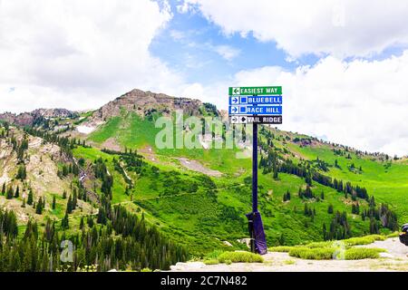 Albion Basin, Utah estate con sci o sentieri escursionistici indicazioni per la corsa di bluebell modo collina e costone di coda in rocciose montagne Wasatch Foto Stock