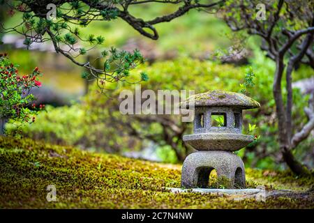 Kyoto, il giardino di muschio verde del Giappone nel Palazzo Imperiale con lanterna di pietra piccola e alberi di bonsai di pino nero e fiori Foto Stock