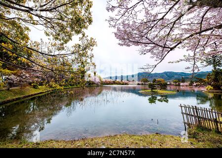 Kyoto, Giappone fioritura di ciliegi sakura fiori alberi lungo Osawa-no-Ike Lago di stagno in primavera nel tempio di Arashiyama Daikakuji con rosso tradizionale drago boa Foto Stock