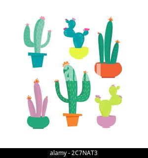 carino cactus set Foto Stock