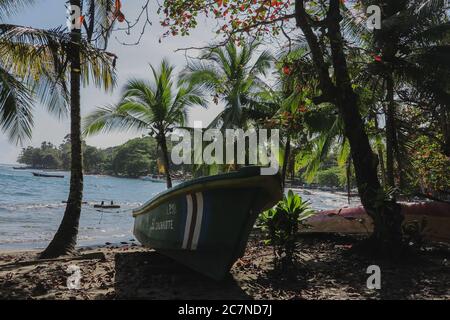 Una canoa su una spiaggia circondata da palme e il Mar dei Caraibi a Puerto Viejo, Costa Rica Foto Stock