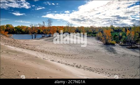 Spettacolare alba sulla spiaggia sabbiosa con foglie di colore autunnale Foto Stock