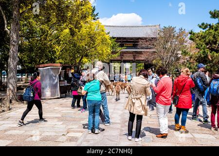 Nara, Giappone - 15 aprile 2019: Persone molti stranieri turisti folla turistica camminare su terreni di strada del tempio Todaji in città durante il giorno con sika de Foto Stock