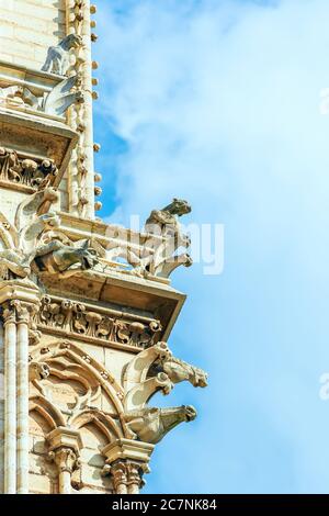 Chimera e gargoyles dalla Galleria di gargoyles e chimere. Notre-Dame de Paris.Paris. Francia Foto Stock