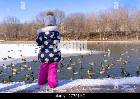 la bambina in un cappello con un mumbon, una giacca a pois e pantaloni rosa alimentano le anatre selvagge su un laghetto in inverno. il bambino si alza con la schiena Foto Stock