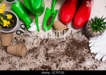 vista dall'alto composizione di attrezzi da giardinaggio e fiori in vaso sul tavolo Foto Stock