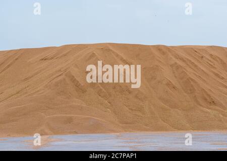 mucchio grande di orzo Foto Stock