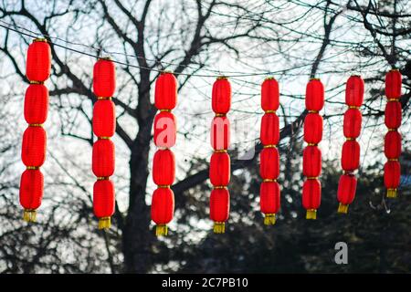 Belgrado / Serbia - 15 febbraio 2020: Cinese Lunare Capodanno Lanterne rosse decorazioni nella fortezza di Belgrado Kalemegdan parco a Belgrado, capitale di se Foto Stock