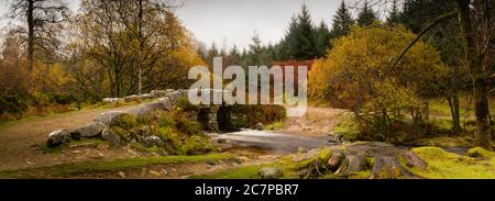 Ponte in pelle per il fiume Riddipitt nel Parco Nazionale di Dartmoor Foto Stock