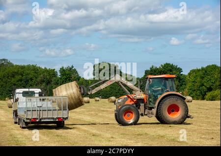 Eton, Windsor, Berkshire, Regno Unito. 17 luglio 2020. Una calda giornata di sole a Eton. Balle di fieno caricate su un camion sui prati di Brocas. Credit: Mc Lean/Alamy Foto Stock