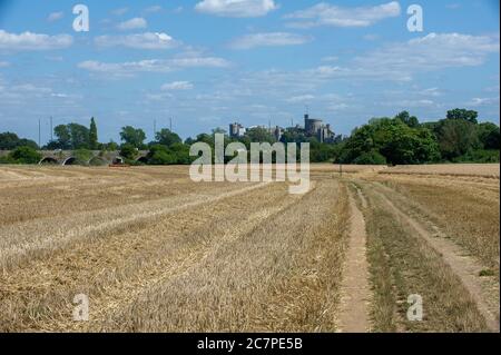 Eton, Windsor, Berkshire, Regno Unito. 17 luglio 2020. Raccolta di grano in campi di Eton, Berkshire in una calda giornata di sole d'estate. Credit: Mc Lean/Alamy Foto Stock