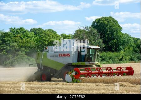 Eton, Windsor, Berkshire, Regno Unito. 17 luglio 2020. Una mietitrebbia raccoglie il grano nei campi di Eton, Berkshire, in un caldo giorno di sole estate prima che arrivi la pioggia prevista. Credit: Mc Lean/Alamy Foto Stock
