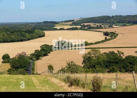 Tipico cortile situato nella campagna inglese. Colline ondulate del South Downs in Hampshire. Foto Stock
