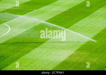 Erboso di irrigazione che lavora sull'erba verde fresca sul campo di calcio Foto Stock