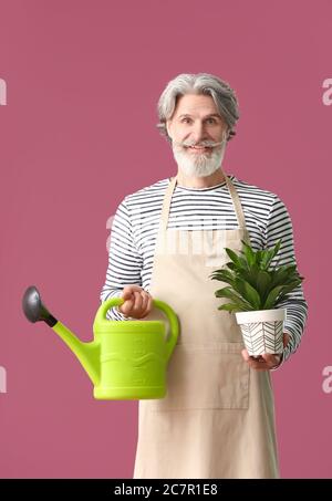 Giardiniere senior su sfondo a colori Foto Stock