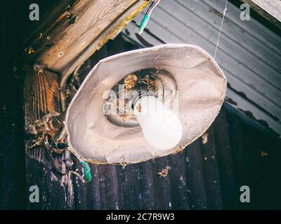 Primo piano di una lampadina illuminata con un argento copertura appesa in un vecchio angolo sporco Foto Stock