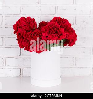 bellissimi fiori rossi in vaso su muro di mattoni bianchi Foto Stock