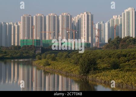 Parco delle paludi di Hong Kong, torrente di marea e sfondo alto di Tin Shui Wai New Town, Tsim bei Tsui, Deep Bay, Hong Kong, Cina 10th Nov 2019 Foto Stock