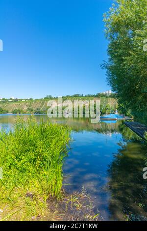 Max-Eyth-See o Lago Max Eyth, Distretto Città di Mühlhausen, Città di Stoccarda, Baden-Württemberg, Germania del Sud, Europa Centrale Foto Stock