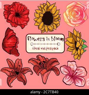 Fiori in fiore - piccolo pacchetto di raccolta. Vettori isolati ornamentali con elementi floreali. Illustrazione Vettoriale