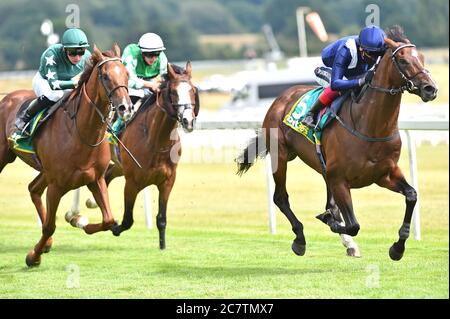 Global Giant guidato da Frankie Dettori (a destra) vince il bet365 Steventon Stakes all'ippodromo di Newbury. Foto Stock