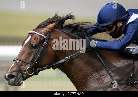 Global Giant guidato da Frankie Dettori vince il bet365 Steventon Stakes all'ippodromo di Newbury. Foto Stock