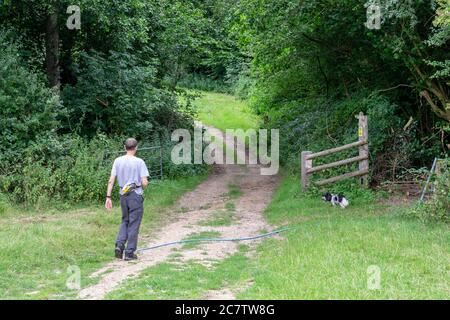 Uomo che cammina con il suo cane, un gallo nero e bianco, su un sentiero tra due campi nella campagna inglese in un pomeriggio di Domenica Foto Stock