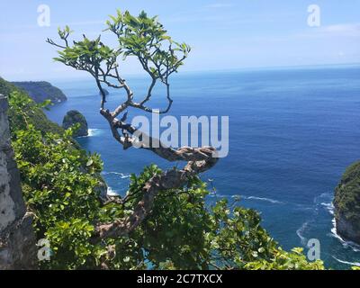 Bella spiaggia di Klingking e rocce sull'isola di Nusa Penida vicino all'isola di Bali in Indonesia, foto di paesaggio di spiaggia di Klingking a nusa Peni Foto Stock