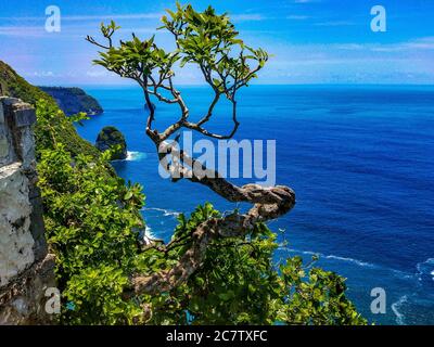 Bella spiaggia di Klingking e rocce sull'isola di Nusa Penida vicino all'isola di Bali in Indonesia, foto di paesaggio di spiaggia di Klingking a nusa Peni Foto Stock