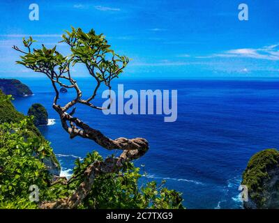 Bella spiaggia di Klingking e rocce sull'isola di Nusa Penida vicino all'isola di Bali in Indonesia, foto di paesaggio di spiaggia di Klingking a nusa Peni Foto Stock