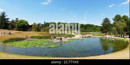 Giardino acquatico al Parc Floral de Paris nel Bois de Vincennes - Parigi, Francia Foto Stock