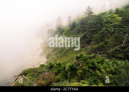 Nebbia a Crescent Beach Overlook, Crescent City, California del Nord Foto Stock