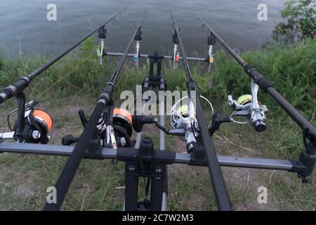 Guardando lungo tre aste di carpe verso un laghetto. La pesca alla carpa. Foto Stock