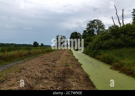 Canale e Walkway, Steinhuder Meer, Germania Foto Stock