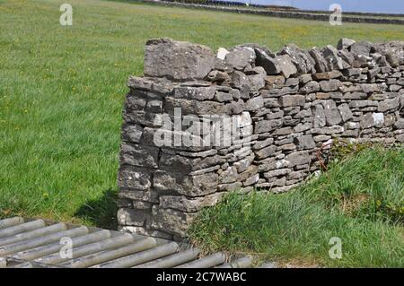 In pietra a secco, muro di confine del campo in Purbeck Dorset UK. con verticale di pietre di tappatura. Calcare, roccia sedimentaria. Foto Stock