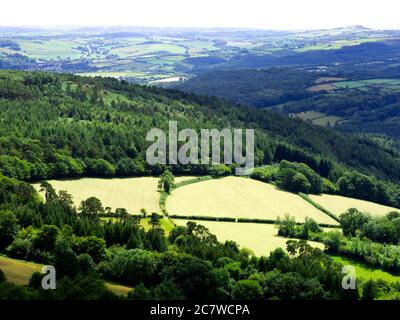 Vista sui campi da Buckland Beacon, Dartmoor, Devon, UK Foto Stock