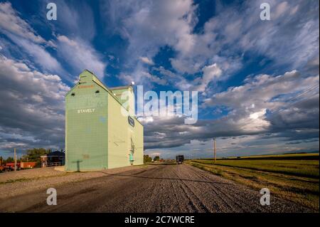 Stavely, Alberta - 17 luglio 2020: L'ultimo elevatore di grano rimasto a Stavely, Alberta. Gli elevatori di grano una volta hanno coperto le praterie ma la maggior parte sono stati t Foto Stock