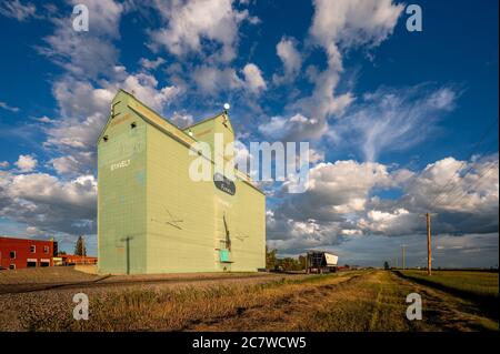 Stavely, Alberta - 17 luglio 2020: L'ultimo elevatore di grano rimasto a Stavely, Alberta. Gli elevatori di grano una volta hanno coperto le praterie ma la maggior parte sono stati t Foto Stock