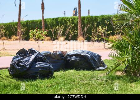 Sacchetti di plastica neri con immondizia sull'erba Foto Stock