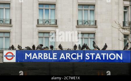 Londra, Inghilterra - Giugno 2018: Piccioni appollaiati sul cartello sopra l'entrata alla stazione della metropolitana di Marble Arch nel centro di Londra Foto Stock