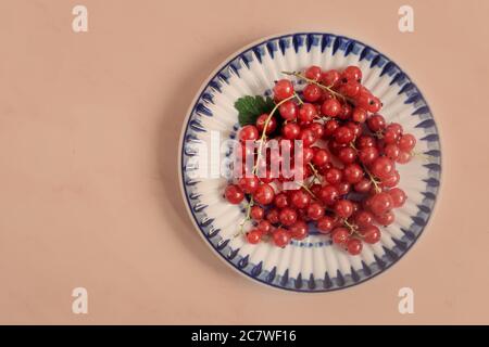 Bacche di ribes rosso su un piatto con bordo blu. Foto Stock
