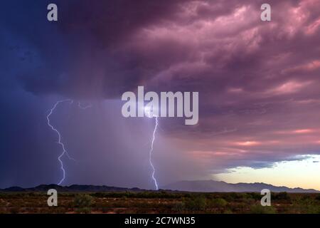 Fulmini da una tempesta monsonica al tramonto, nella valle di Vekol vicino a Gila Bend, Arizona Foto Stock