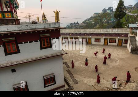 Monaci buddisti che giocano a cricket vicino al monastero di Ghoom a Darjeeling, Bengala Occidentale, India Foto Stock