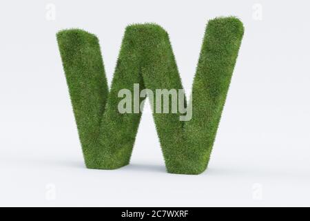 Rendering 3d della lettera verde erba W isolata su bianco background - concetto di formazione precoce Foto Stock