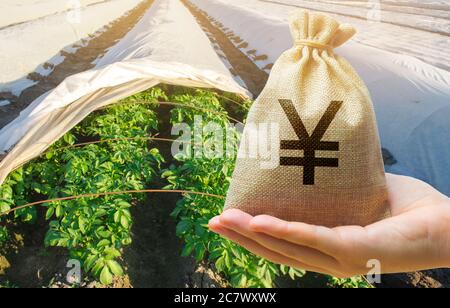 Coltivatore che tiene un sacchetto di soldi sullo sfondo delle piantagioni di patate. Lo sviluppo dell'industria agricola. Startup agricole. Prestiti e sussistenza Foto Stock