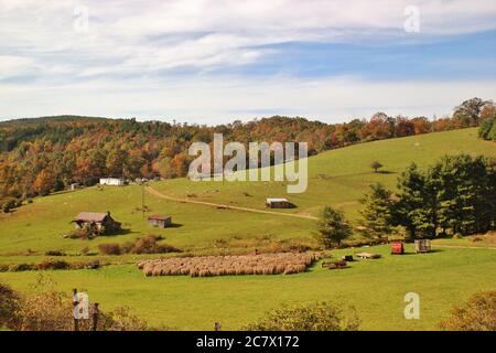 Vista sul paesaggio e sulla natura lungo le montagne della Blue Ridge Parkway Foto Stock