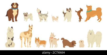 Collezione di cartoni animati di carattere cane. Divertenti razze diverse cani stile piatto. Animali amichevoli disegnati a mano Husky, corgi, pug e dachshund. Carino muso leale. Illustrazione vettoriale isolata Illustrazione Vettoriale