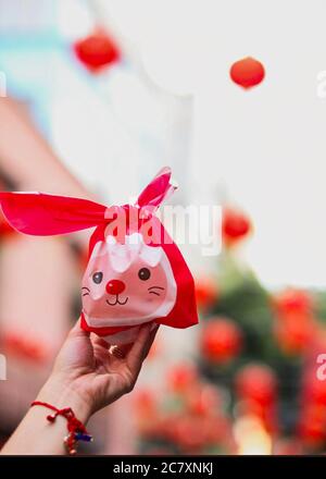 Persona che tiene il viso simpatico coniglietto, sacchetto di plastica rosso Foto Stock