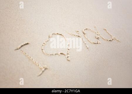 concetto di amore e estate - parole 'i love you' scritte in sabbia bagnata sulla spiaggia Foto Stock